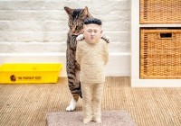Breaking News : La Corée du Nord censure les vidéos avec des chatons
